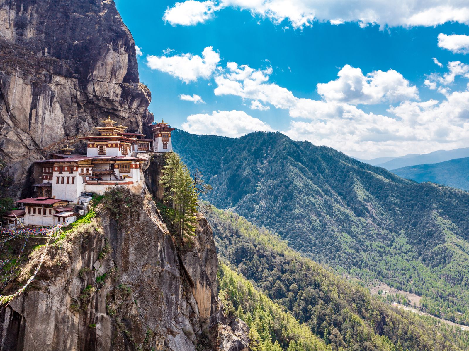 Tailor Made Bhutan